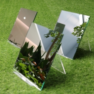 Silver Mirror